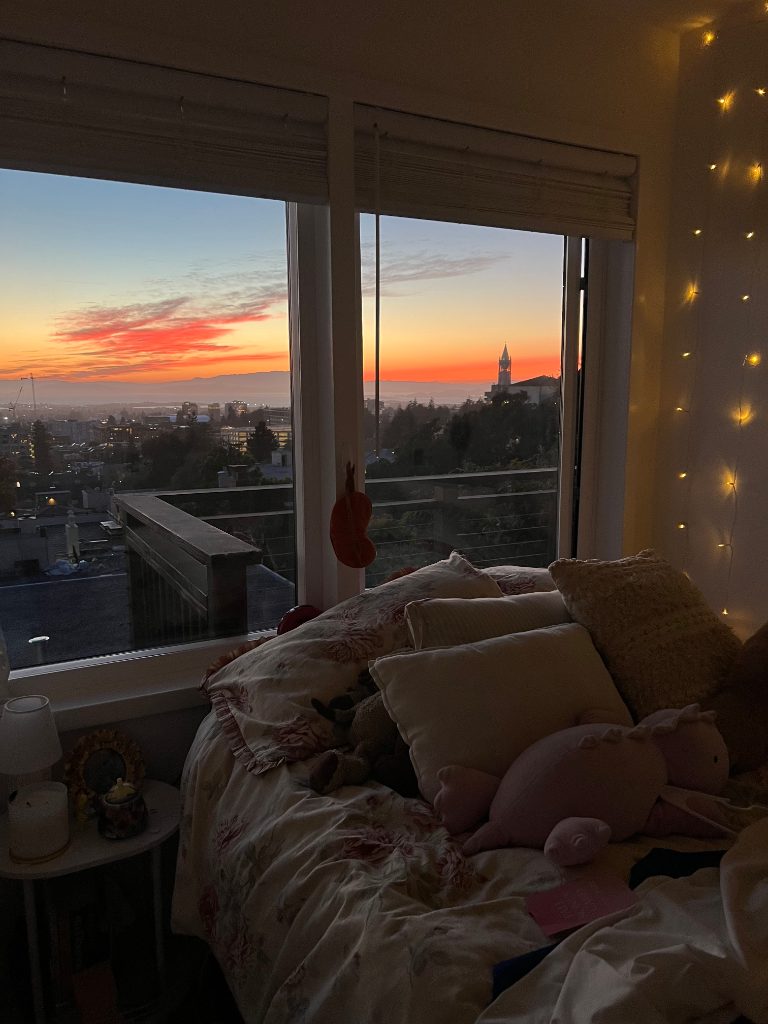 LEASE TAKEOVER - furnished room, 5-girl house on Panoramic Way, spring 2027 — photo 6