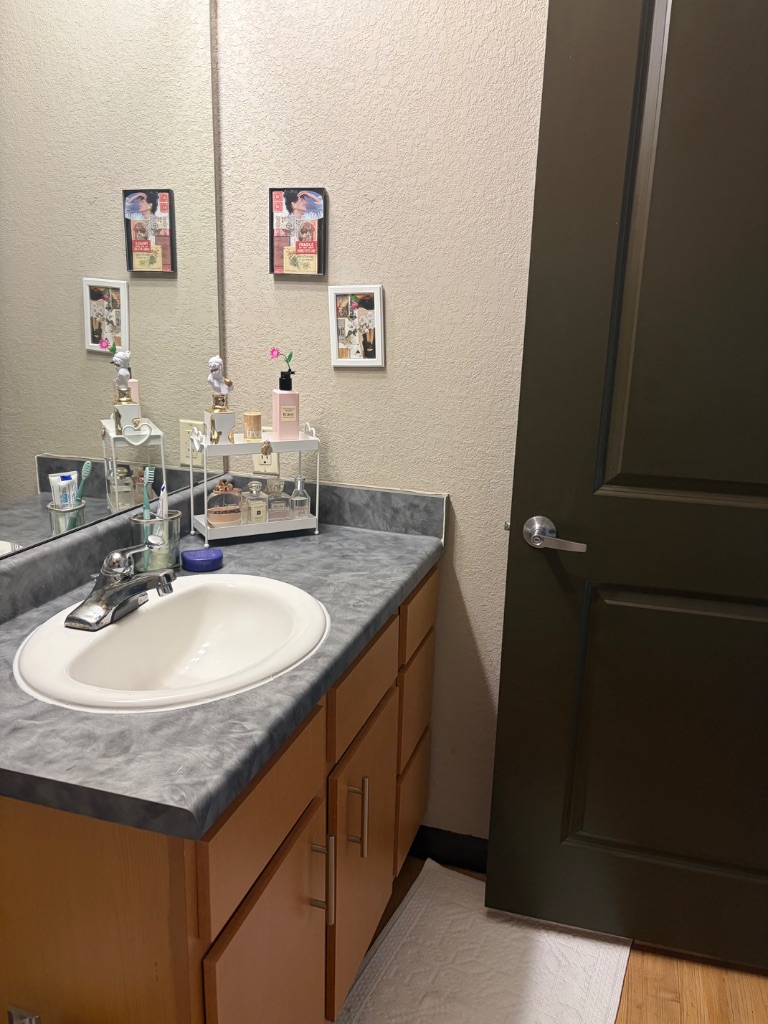 SPRING 2027 Sublease/Relet — photo 3
