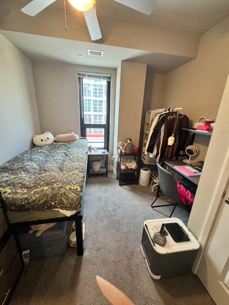 The Standard Filmore unit room C (Female wanted) — photo 2