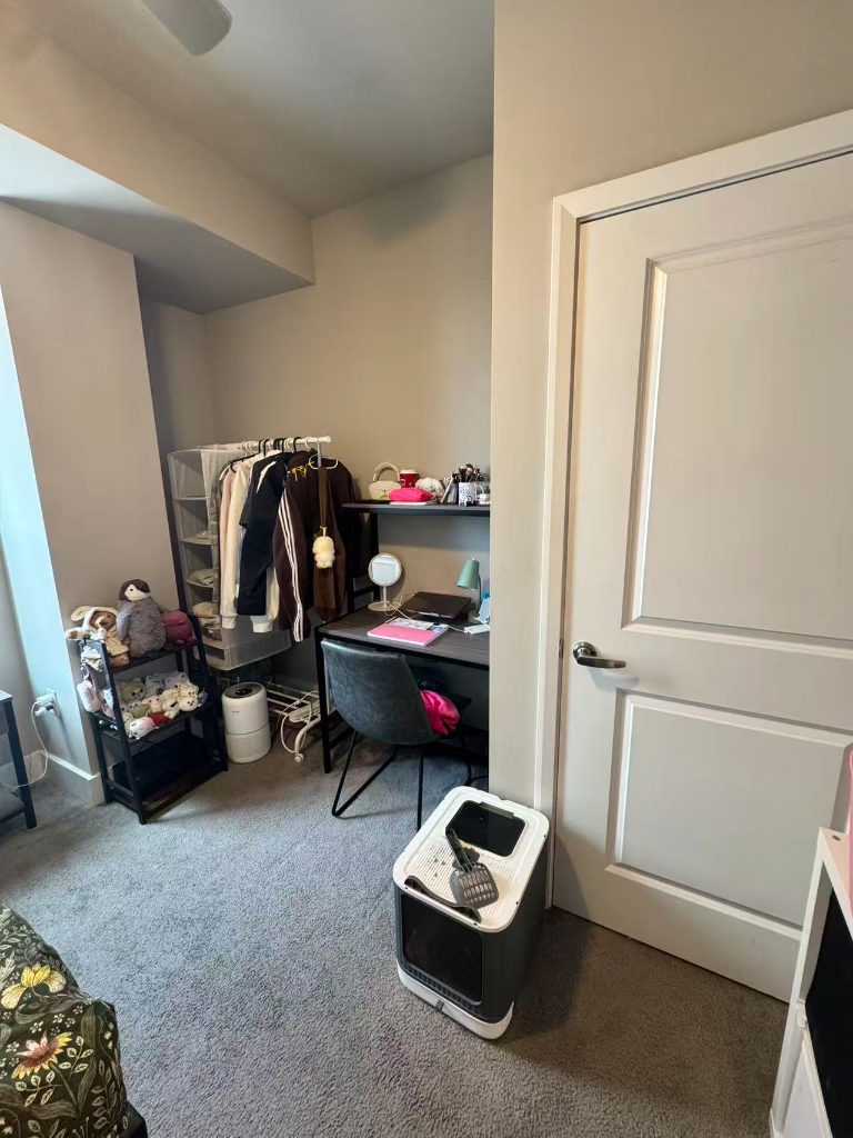 The Standard Filmore unit room C (Female wanted) — photo 3