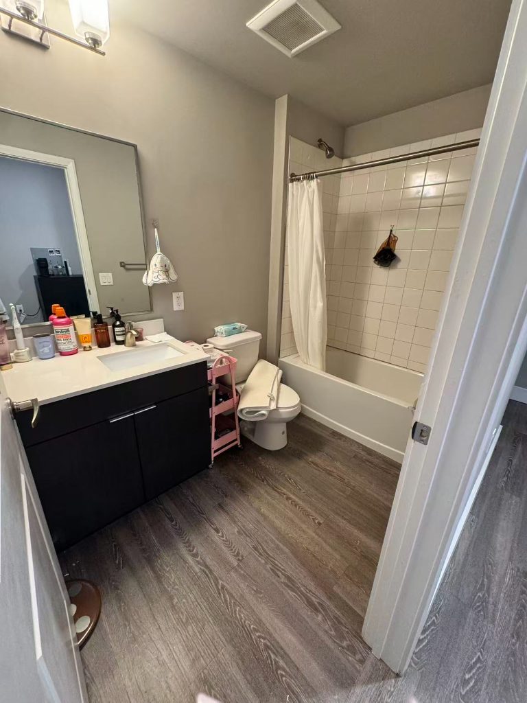 The Standard Filmore unit room C (Female wanted) — photo 4