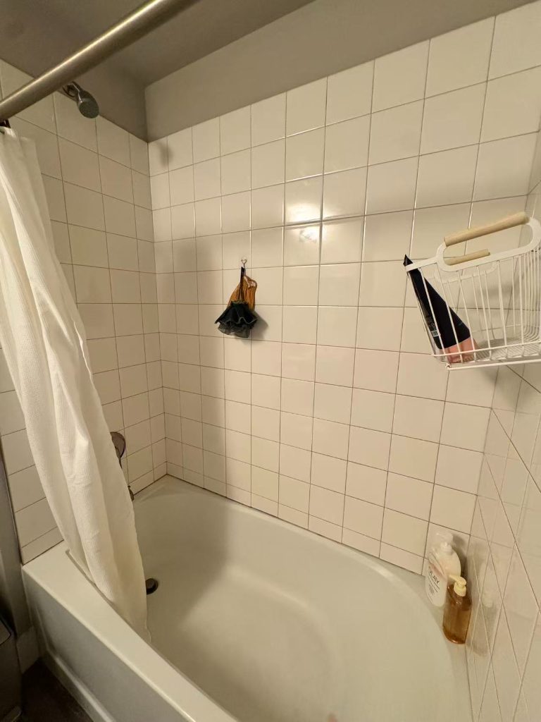 The Standard Filmore unit room C (Female wanted) — photo 5